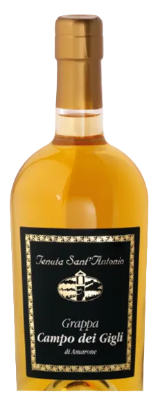 Grappa di Amarone Campo dei Gigli Affinata