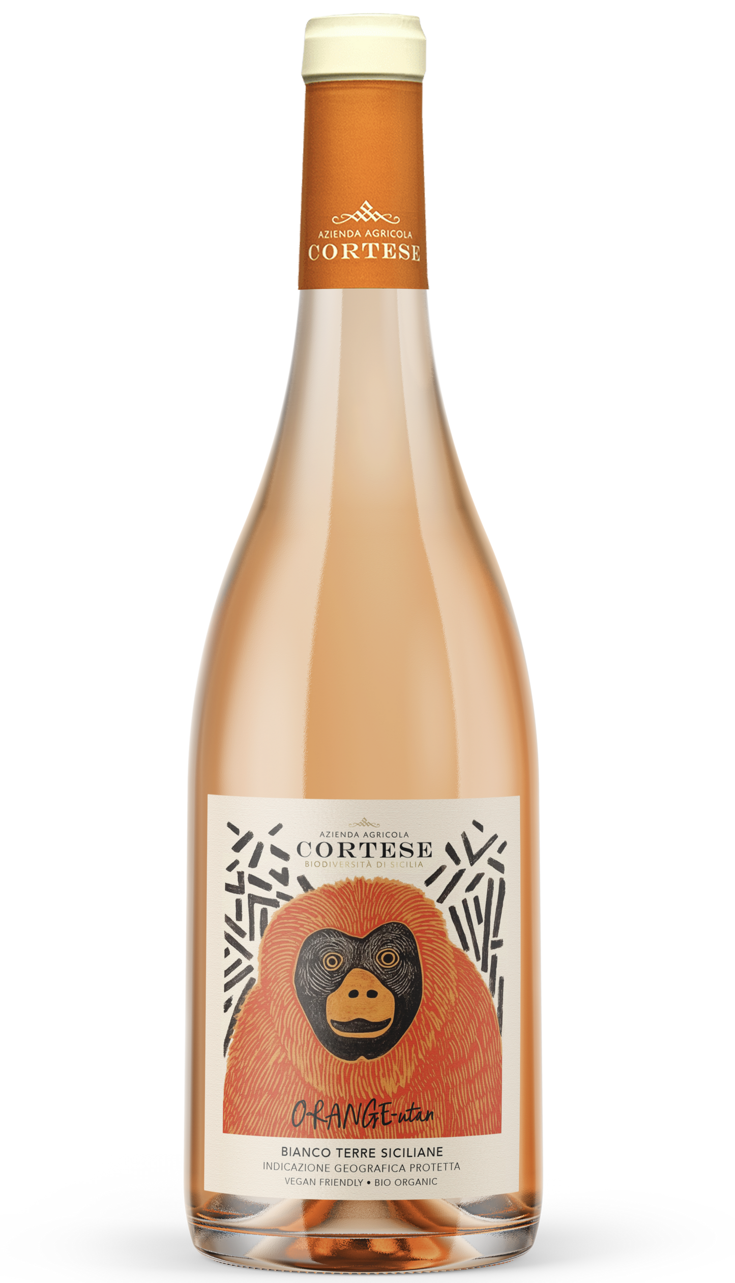 Cortese Orange-utan