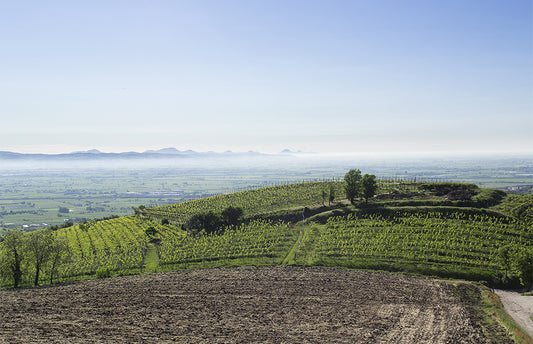 Retroviini Soave tekee taas tuloaan