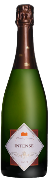 Château de l'Aulee Intense Brut