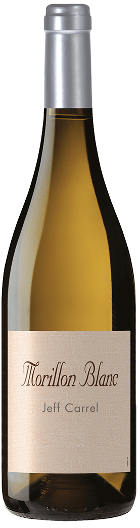 Jeff Carrel Morillon Blanc