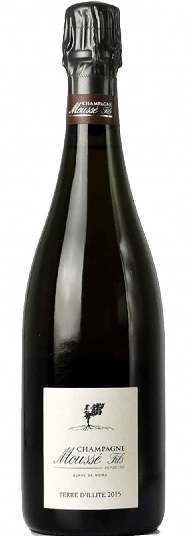 Famille Moussé Terre d'Illite
